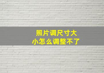 照片调尺寸大小怎么调整不了