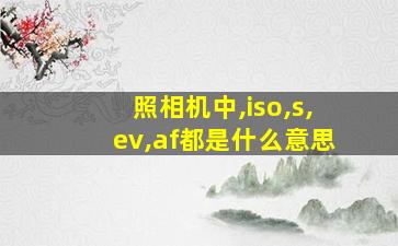 照相机中,iso,s,ev,af都是什么意思