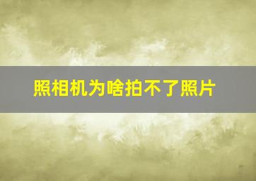 照相机为啥拍不了照片