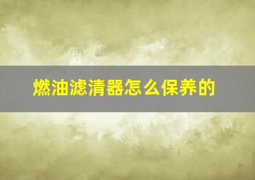 燃油滤清器怎么保养的