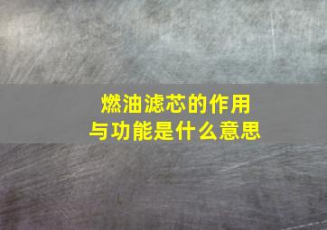 燃油滤芯的作用与功能是什么意思