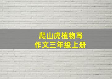 爬山虎植物写作文三年级上册