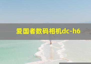 爱国者数码相机dc-h6