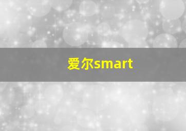 爱尔smart