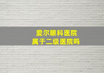 爱尔眼科医院属于二级医院吗