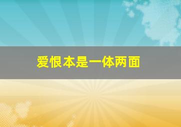 爱恨本是一体两面