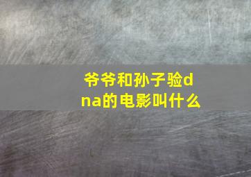 爷爷和孙子验dna的电影叫什么