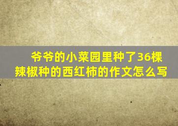 爷爷的小菜园里种了36棵辣椒种的西红柿的作文怎么写