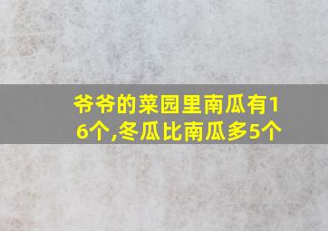 爷爷的菜园里南瓜有16个,冬瓜比南瓜多5个