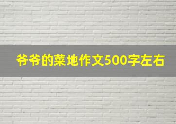 爷爷的菜地作文500字左右