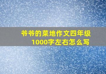 爷爷的菜地作文四年级1000字左右怎么写