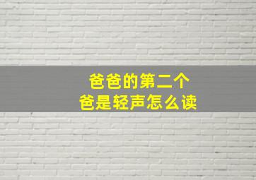 爸爸的第二个爸是轻声怎么读