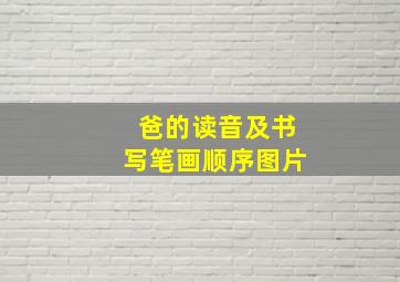 爸的读音及书写笔画顺序图片