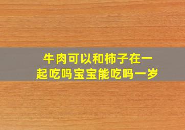 牛肉可以和柿子在一起吃吗宝宝能吃吗一岁