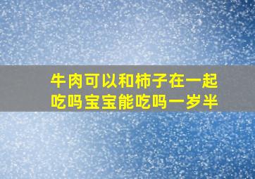 牛肉可以和柿子在一起吃吗宝宝能吃吗一岁半