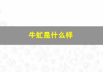 牛虻是什么样