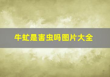 牛虻是害虫吗图片大全