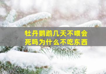 牡丹鹦鹉几天不喂会死吗为什么不吃东西