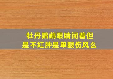 牡丹鹦鹉眼睛闭着但是不红肿是单眼伤风么