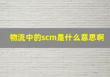 物流中的scm是什么意思啊