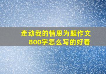 牵动我的情思为题作文800字怎么写的好看