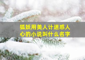 狐妖用美人计迷惑人心的小说叫什么名字