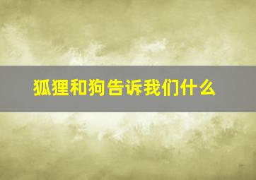 狐狸和狗告诉我们什么