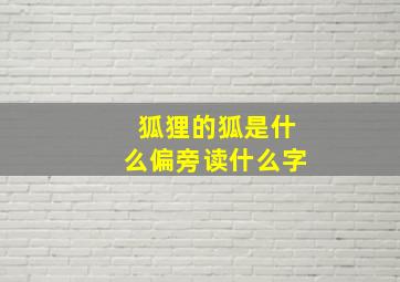 狐狸的狐是什么偏旁读什么字