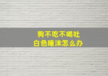 狗不吃不喝吐白色唾沫怎么办