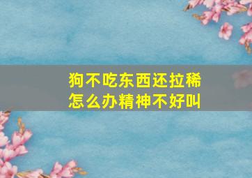 狗不吃东西还拉稀怎么办精神不好叫