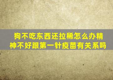 狗不吃东西还拉稀怎么办精神不好跟第一针疫苗有关系吗