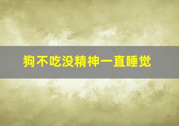 狗不吃没精神一直睡觉