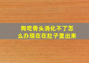 狗吃骨头消化不了怎么办现在在肚子里出来