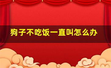 狗子不吃饭一直叫怎么办