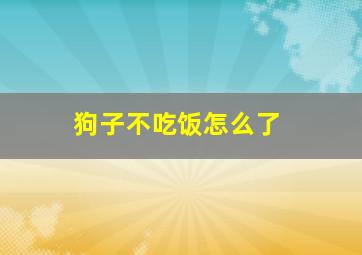 狗子不吃饭怎么了