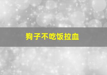 狗子不吃饭拉血