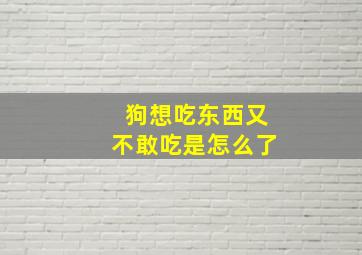 狗想吃东西又不敢吃是怎么了