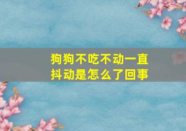 狗狗不吃不动一直抖动是怎么了回事