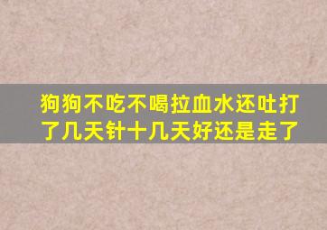 狗狗不吃不喝拉血水还吐打了几天针十几天好还是走了