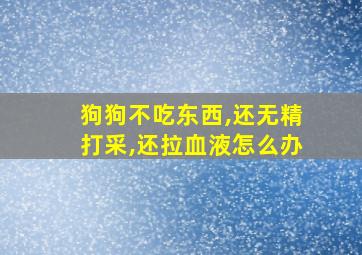 狗狗不吃东西,还无精打采,还拉血液怎么办