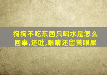 狗狗不吃东西只喝水是怎么回事,还吐,眼睛还留黄眼屎