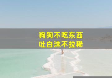 狗狗不吃东西吐白沫不拉稀