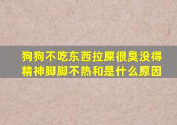 狗狗不吃东西拉屎很臭没得精神脚脚不热和是什么原因