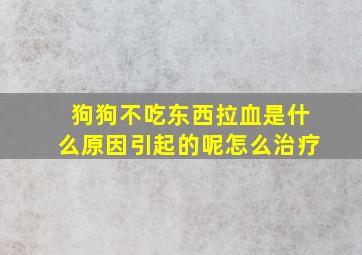 狗狗不吃东西拉血是什么原因引起的呢怎么治疗