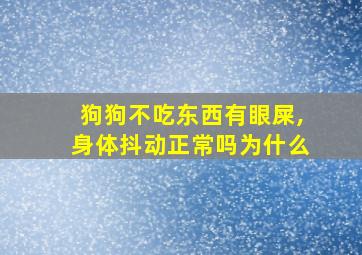 狗狗不吃东西有眼屎,身体抖动正常吗为什么