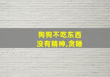 狗狗不吃东西没有精神,贪睡