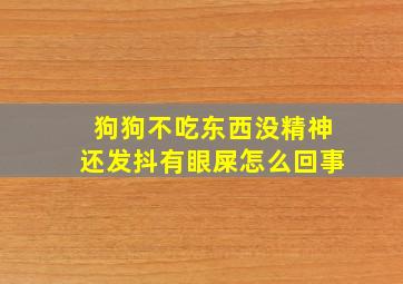 狗狗不吃东西没精神还发抖有眼屎怎么回事