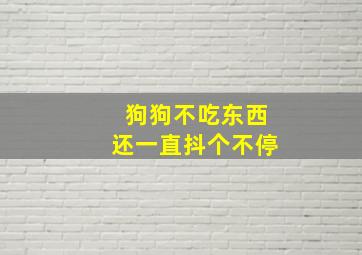 狗狗不吃东西还一直抖个不停