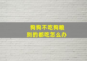 狗狗不吃狗粮别的都吃怎么办