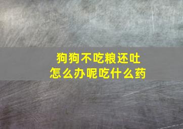 狗狗不吃粮还吐怎么办呢吃什么药